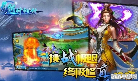觅长生林沐雪攻略道侣，游戏攻略全解析