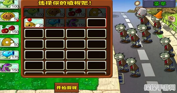 正版植物大战僵尸中文设置指南，轻松玩转你的游戏世界