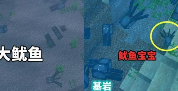 我的世界基岩版与JAVA版，差异对比与版本特色全面解析