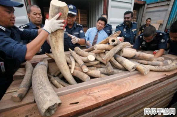 绝地求生手游箱子开启物品全揭秘
