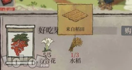 江南百景图芡实快速刷取攻略，掌握技巧，轻松获取