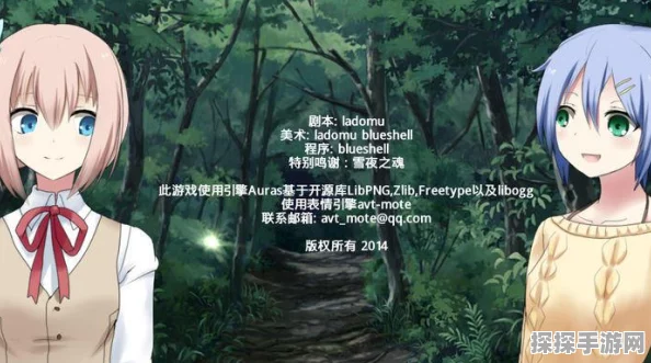 夜之森游戏深度攻略，解锁神秘森林的奇幻之旅