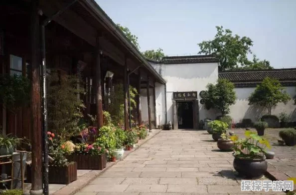 江南百景图杏花酒家摆放指南，打造诗意盎然的古风酒馆