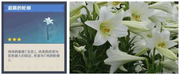 原神花影瑶庭挑战揭秘，第三天完美攻略与解锁全技巧
