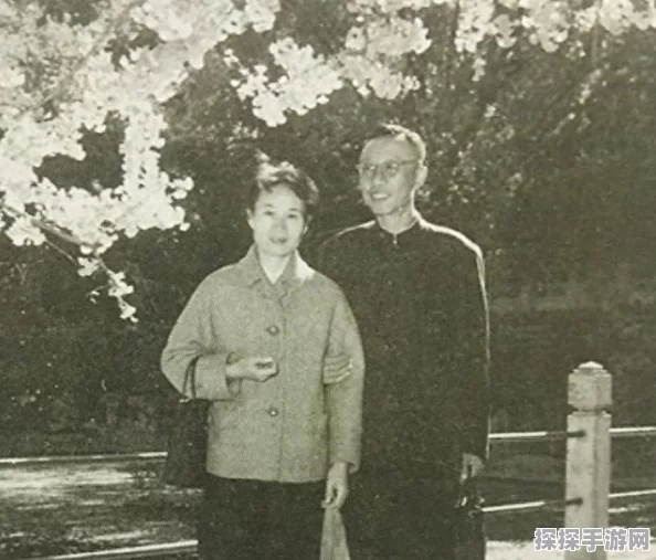 黑暗之魂2手游深度攻略，解锁贵人骨灰与元素碎片的终极指南