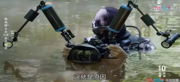 魔兽世界手游资讯，翡翠林探险指南全新发布