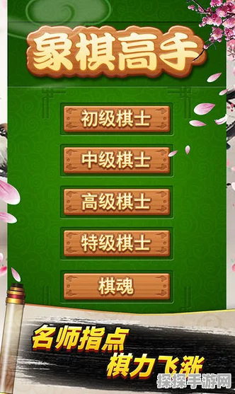 手游资讯，中国象棋棋盘与棋子尺寸完美搭配指南