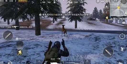 刺激战场极寒模式全攻略，挑战冰雪，生存至上