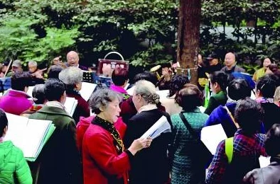 原神镜花之琴6首简单乐谱手机版分享，奏响你的音乐之旅