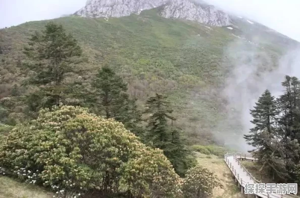 烟雨江湖五行功全揭秘，获取途径与招式属性大公开