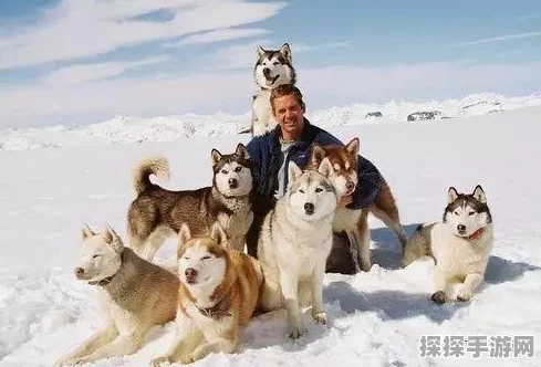 DNF手游冒险团改名功能详解，个性化你的游戏之旅