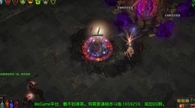 伊洛纳韦尔赛白鹰BOSS挑战攻略，热议高效击杀技巧与深度评价