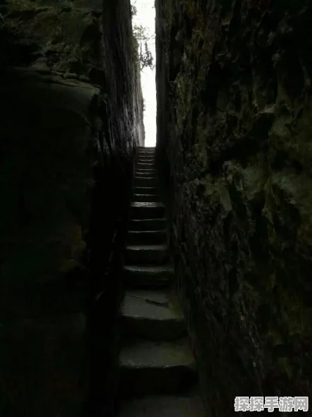 光遇探险新篇章，揭秘幽光森林绝美仙境，探寻隐藏山洞入口