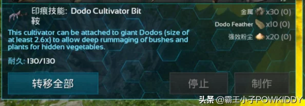 方舟仙境新版本揭秘，探秘元素粉尘的获取全攻略