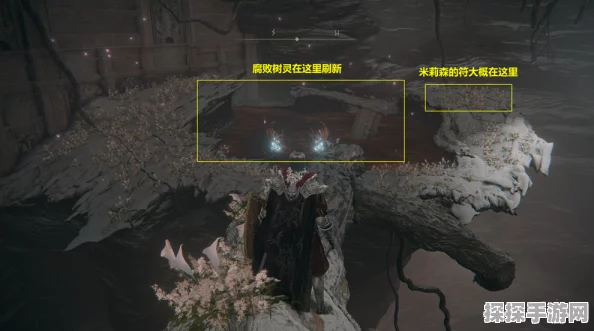艾尔登法环，深入探索瑟濂支线剧情删减对话与详细攻略