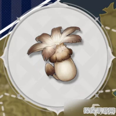 原神慕风蘑菇高效采集路线全解析