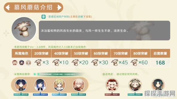 原神慕风蘑菇高效采集路线全解析