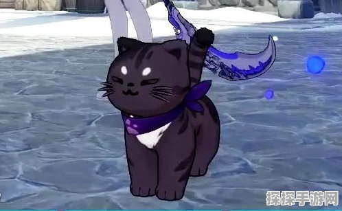 崩坏三手游资讯，全面解析猫猫碎片获取攻略