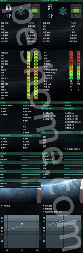 DNF手游深度解析，独立攻击力与属性强化的作用