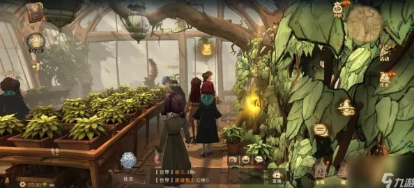 哈利波特幽谧森林新版本震撼发布，探索魔法世界的全新篇章