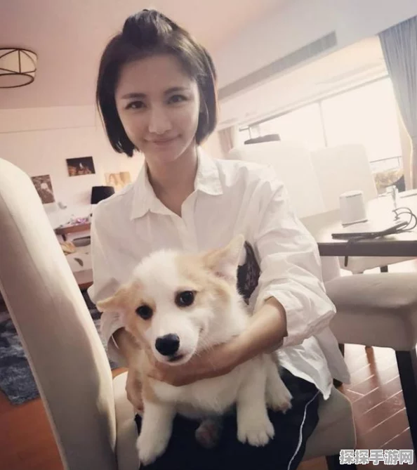 风云岛行动四排开黑阵容全攻略
