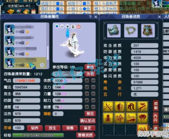 梦幻西游手游深度解析，龟速宠与高速宠的战场艺术