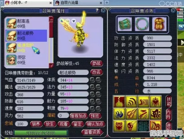 梦幻西游手游深度解析，龟速宠与高速宠的战场艺术