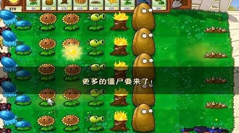 植物大战僵尸生存模式重大更新，全新挑战与丰厚奖励等你来战！