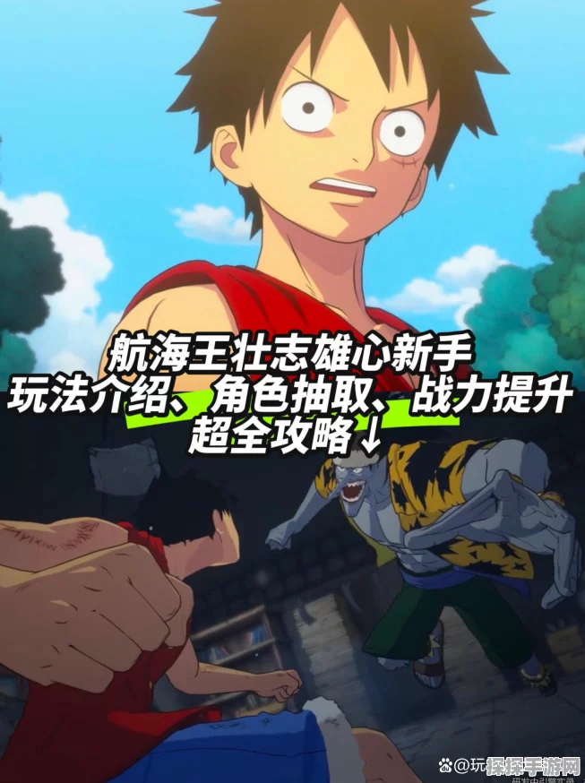 航海王壮志雄心手游装备培养全攻略深度解析