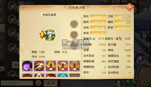 天下手游深度攻略，揭秘强力法功宠物技能选择的奥秘