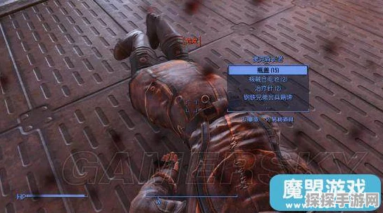 辐射4深度解析，探索队友任务线的特色与趣味性