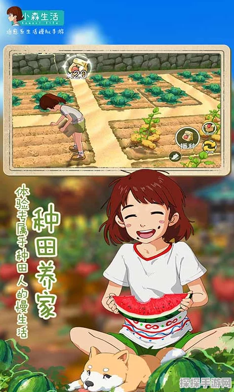手游资讯，探索小森生活——治愈心灵的猫狗双全田园之旅