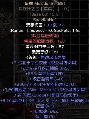 暗黑2符文之语亚马逊弓，暗黑破坏神2中亚马逊之弓的符文力量与传承深度解析