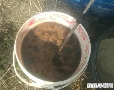 手游资讯，怪物猎人4全能虫喂养指南全面解析