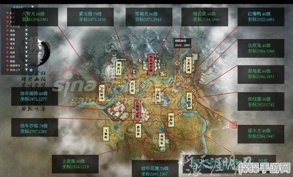 天涯明月刀手游望江楼杨子麟坐标揭秘
