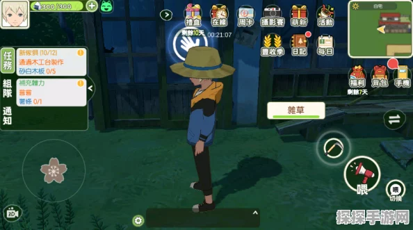 小森生活手游金币功能全解析
