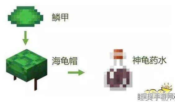我的世界手游资讯，揭秘海龟壳的获取方法与实用攻略