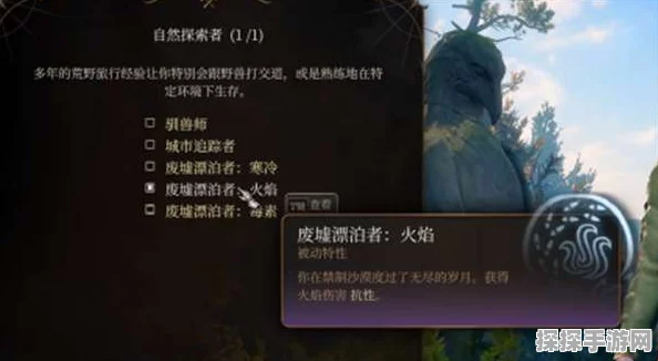 博德之门3游侠驯兽师宠物携带全攻略
