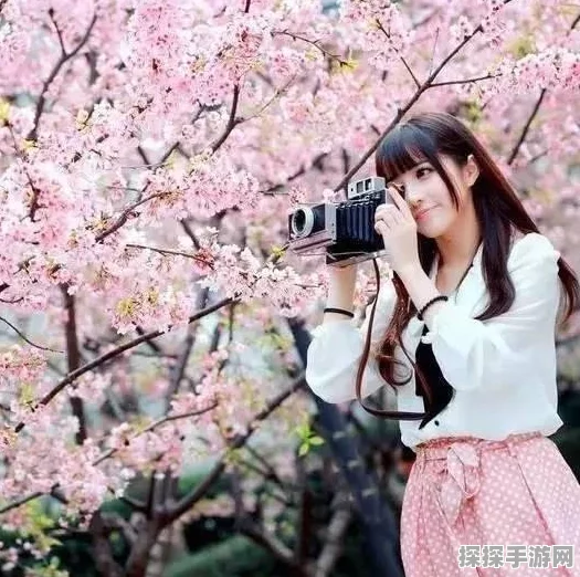 阴阳师樱舞桃花开宝箱位置全揭秘，新版本活动攻略