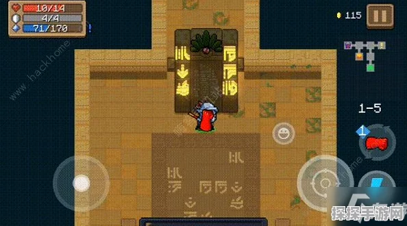 元气骑士隐藏关卡揭秘，解锁守墓甲虫王的全面攻略