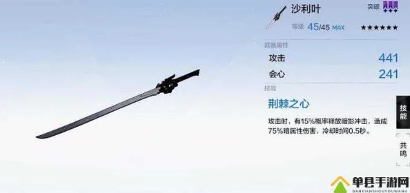 战双帕弥什新武器漆黑深度解析，属性、技能与共鸣技能全面揭秘