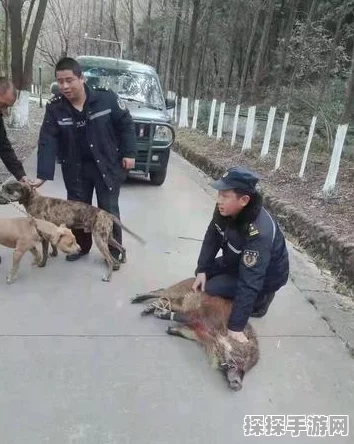 刀塔传奇赏金猎人深度解析，悬赏令之下，谁才是最佳拍档？