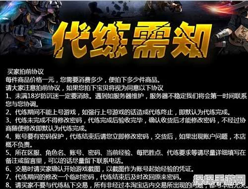 王者荣耀代练平台深度解析，寻找最佳游戏提升伙伴