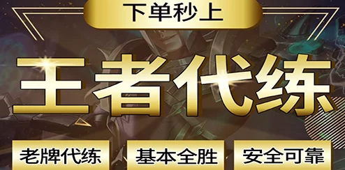 王者荣耀代练平台深度解析，寻找最佳游戏提升伙伴