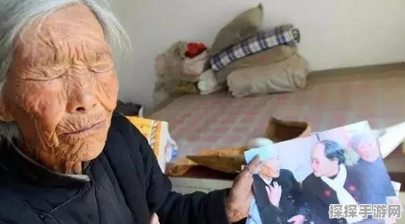 非人学园排位上分攻略，解锁胜利之门的钥匙