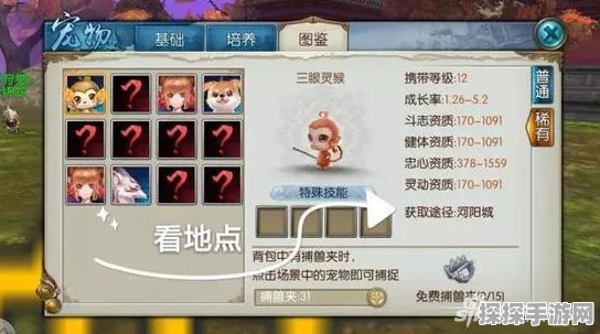 诛仙2手游资讯，捕兽网使用规则详解及宠物捕捉攻略