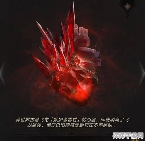 地下城堡3古龙的血英解锁攻略，揭秘获取方法与途径
