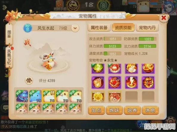 梦幻西游手游，揭秘第一珍兽的神秘魅力，探索全新游戏奇遇