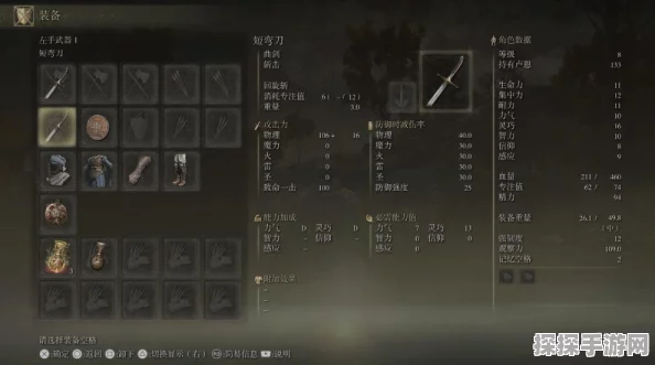 艾尔登法环法力蓝量上限提升攻略，揭秘有效加点策略