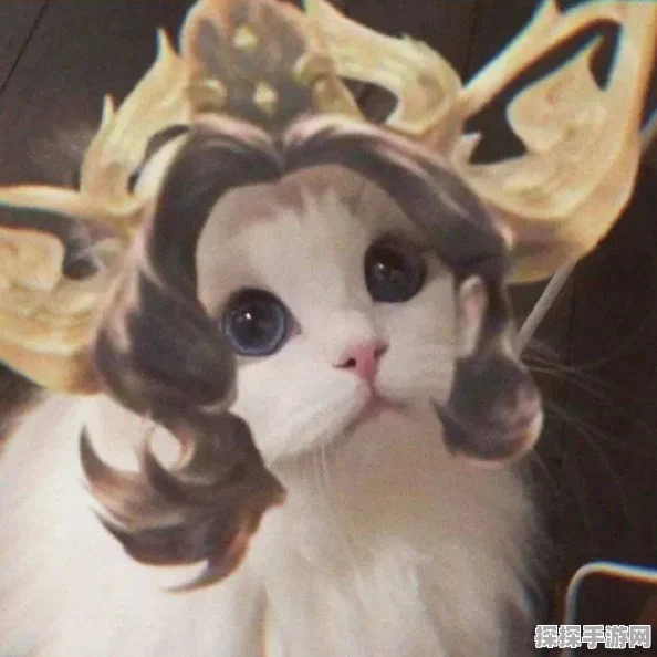 王者荣耀猫咪五岳皮肤接头头像全揭秘，独特设计与背后故事
